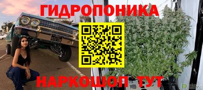 шишки Ливны