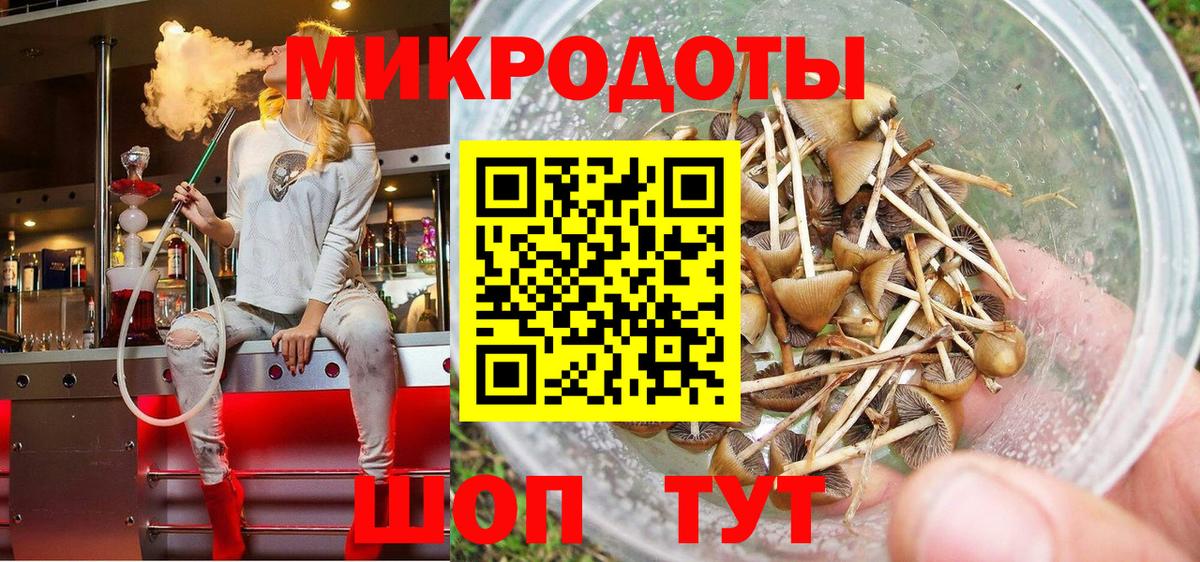 Галлюциногенные грибы мухоморы Вязники