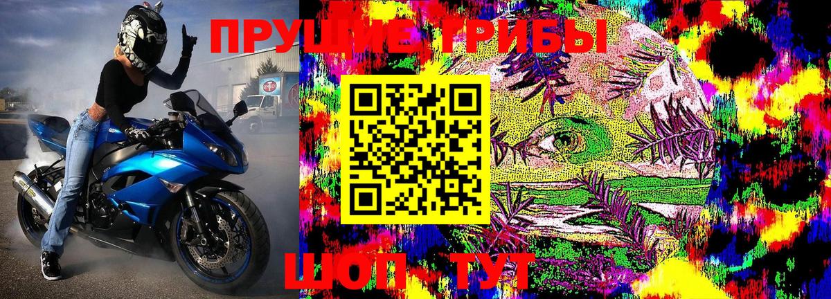 Галлюциногенные грибы мухоморы  Псилоцибиновые грибы Magic Shrooms  Вязники  Вход с VPN 